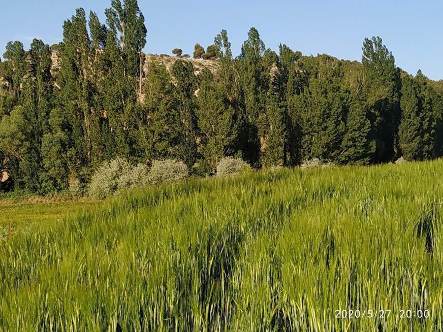 Casa Rural La Morena Castroverde de Cerrato Buitenkant foto